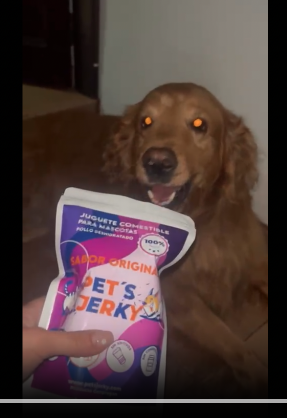 HAPPINESS PORTION FOR YOUR PET